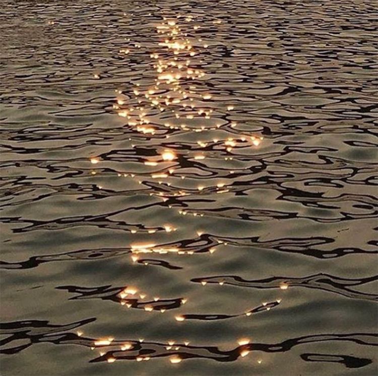 pov: a cute life with hugh