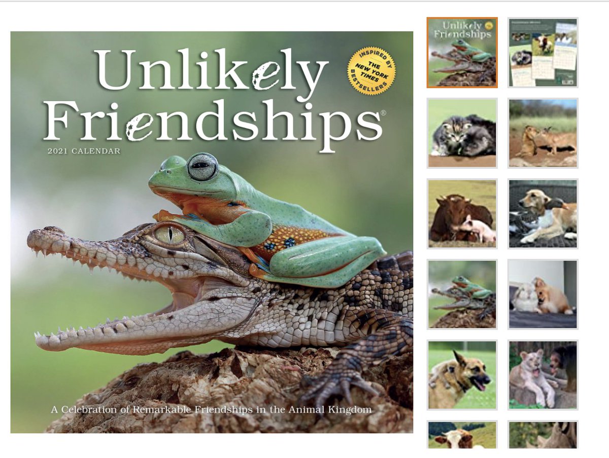 So what can you do to deter phony, faked and unethical wildlife photography? Don't buy it, 'friend' it, 'like' it.With 2021 around the corner, there's lots of phony photos to avoid  - buy authentic.