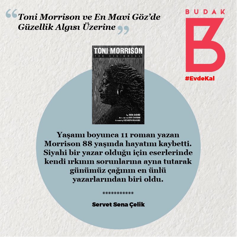 Servet Sena Çelik yazdı: “Toni Morrison ve En Mavi Göz’de Güzellik Algısı Üzerine” 

@SSenaCelik14