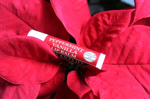 Did you know all orders get a FREE gift? Receive a free Peppermint Vanilla Lip Balm + more in every order!

#lipbalm #moisturizer #vanilla #peppermint #plantlife