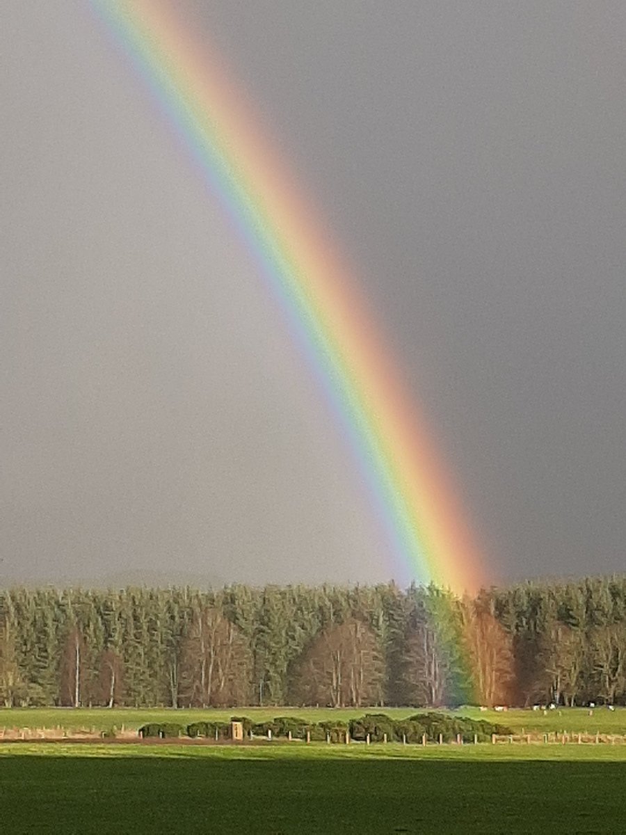 Having just listened to the news of a new lockdown bestowed upon us, my heart sinks at the thought of it 😔...while walking this morning I saw this beautiful rainbow so I post for all of you who feel the same as me...❤🧡💛💚💙💜...as they say hope never dies...