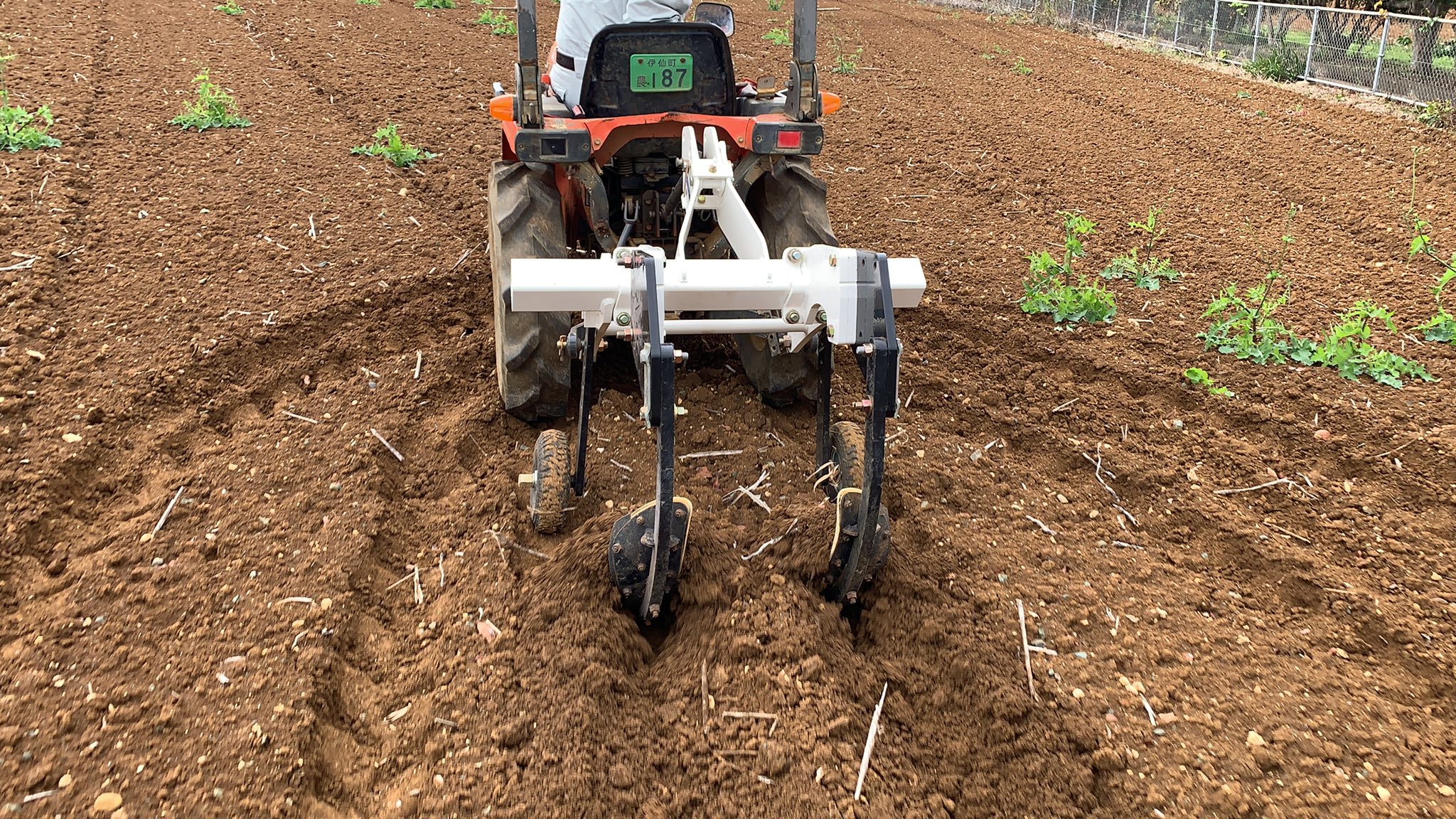 Intertillage work with a “scoop” - YouTube