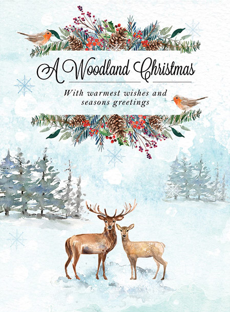 Just a quick thank you to all our supporters. It's been an odd year but your help has been truly amazing. 

We wish you all a very happy Christmas and send you our best wishes for the New Year.