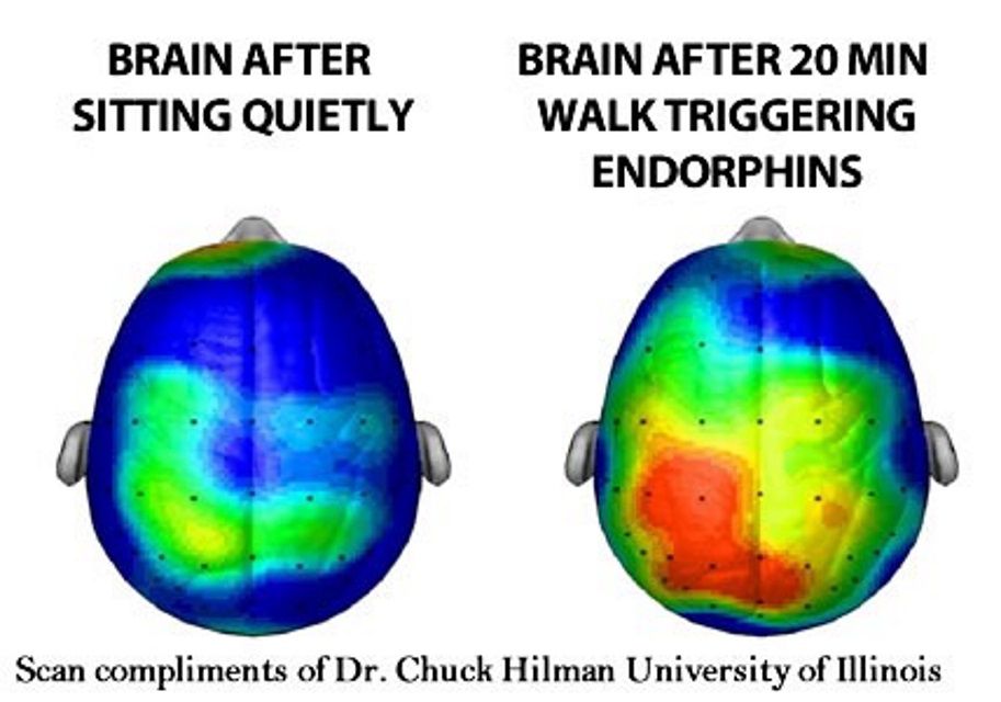 mjgranger1's tweet photo. Please remember that especially during COVID, kids and adults alike need to MOVE. Brain breaks are essential to a healthy BRAIN and brain FUNCTION. Try Tai Chi, yoga, dance! .@SHAPE_America https://t.co/tiiuVSD76E