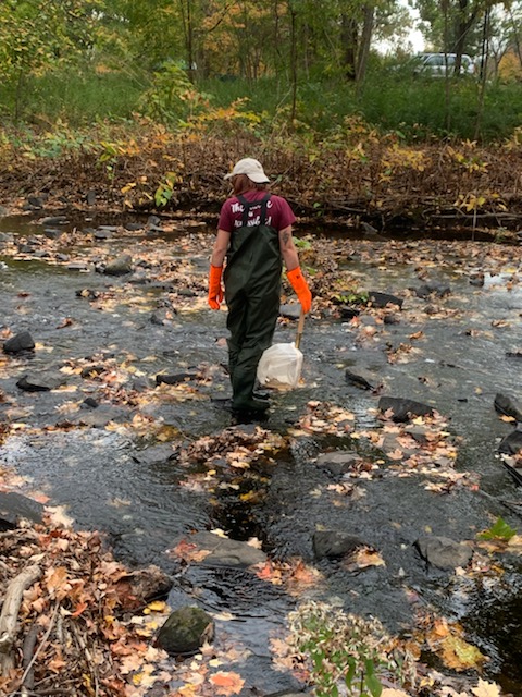 JPStudiesWater's tweet photo. After finding a whip worm (a parasite that is fond of the human intestine) I decided to implement gloves to my bug sampling :') https://t.co/dKy6hdEf0h