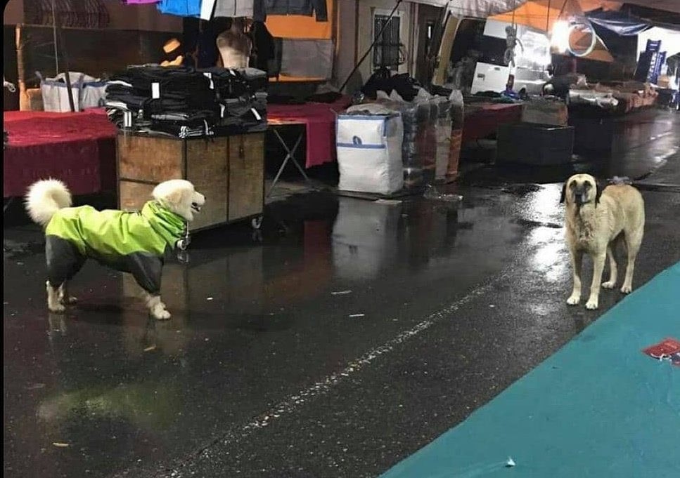 -nerede oturuyosun?
+çakırlar, sen
-ergazi