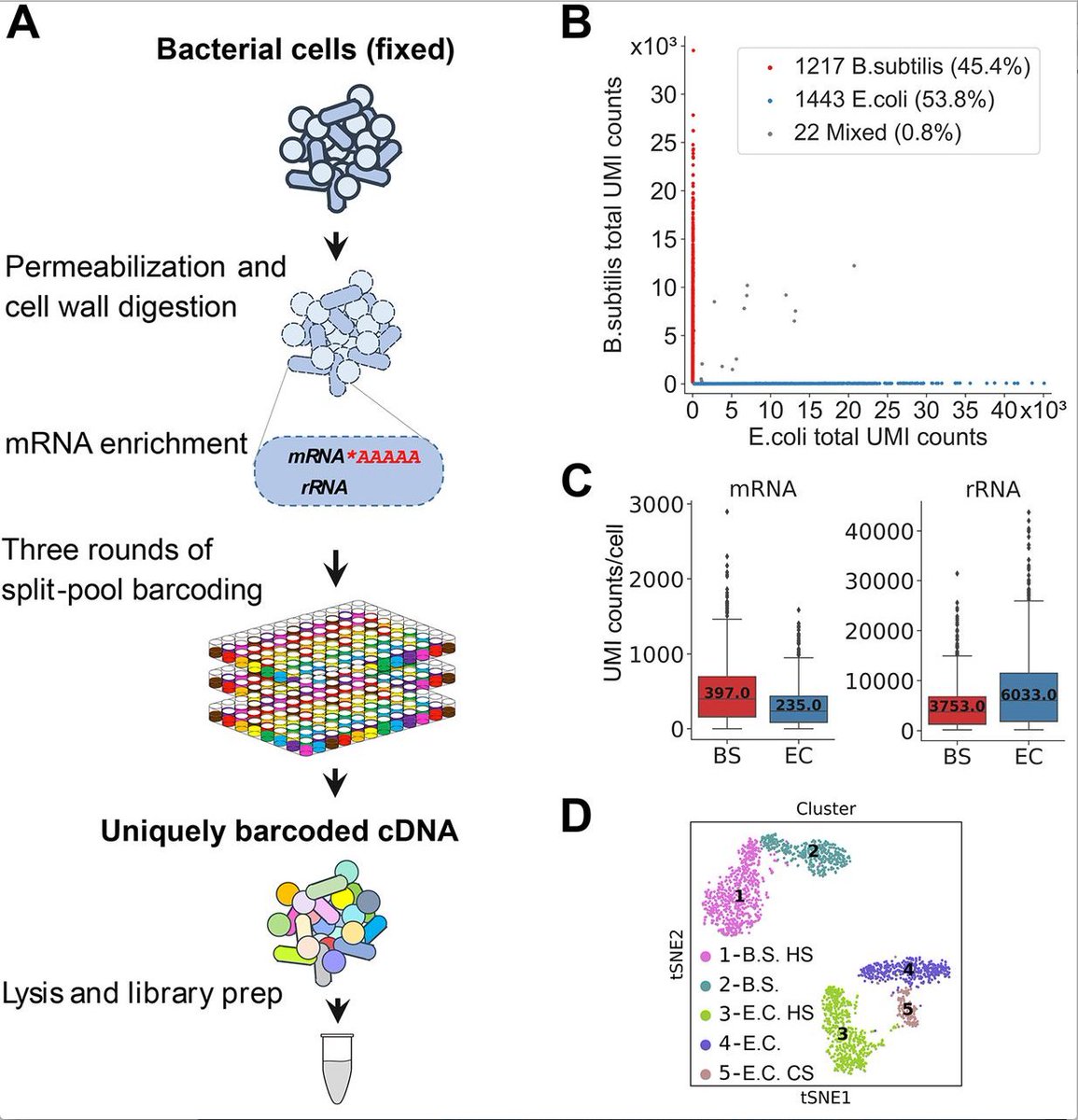 mmw_lmw's tweet photo. #Microbial #SingleCell_RNAseq | split-pool barcoding | Georg Seelig @UW @ScienceMagazine https://t.co/4ecxl5d4ae https://t.co/FGpnSOkbv2