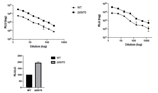 When we made this deletion alone in a simplified lab virus that has the SARS-CoV-2 Spike protein, we found that it was twice as infectious on cells that expressed the surface receptor used by the virus. This could potentially explain why VUI 202012/01 appears to spread faster.