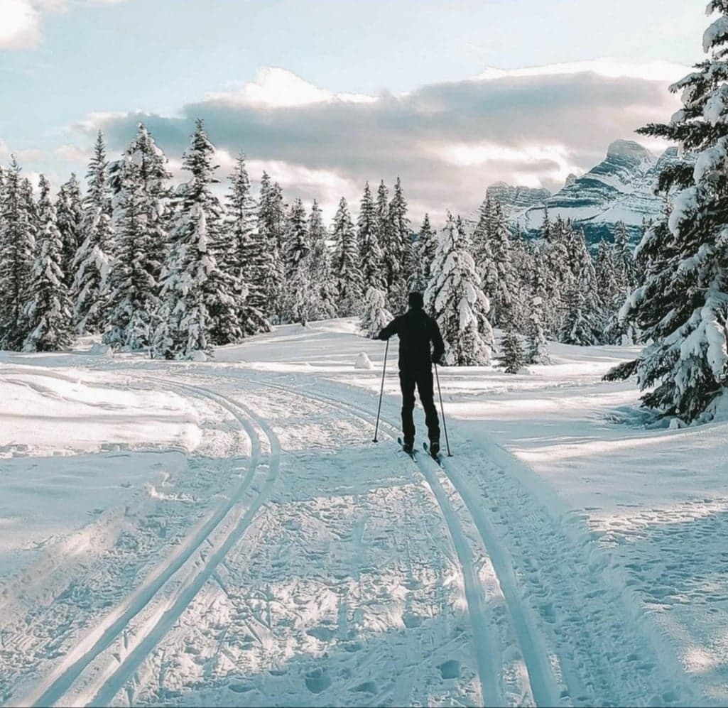 JuniperHotel's tweet photo. Your fav trails in the summer transform into a winter wonderland when the snow falls. Try out x-country skiing as your new winter activity! Thks #Snowtips-Bactrax for your words & pic. Check out our new Winter Adventure Menu to fuel your winter adventures- https://t.co/imo3qg5haj https://t.co/K5Wn6UlU4Q