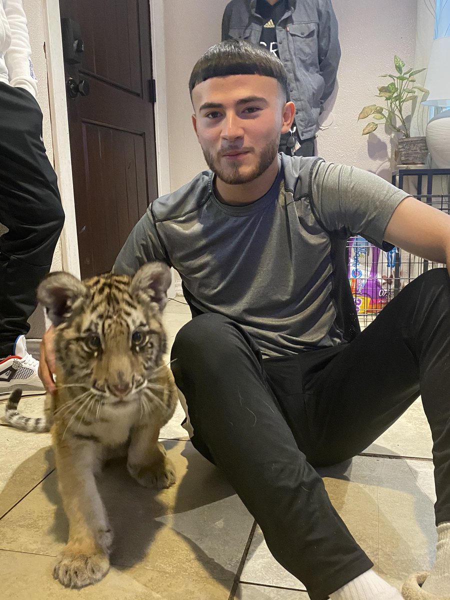 kevsrios's tweet photo. New pet 🐅🤍🤍 https://t.co/BwV0J4xz1o