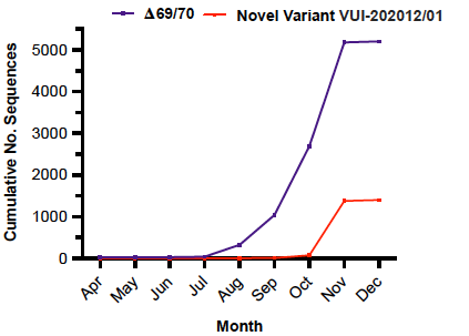 The UK SARS-CoV-2 multiply mutated variant VUI 202012/01 also has an interesting Spike deletion 69/70 we have been studying. The deletion is increasing in frequency (blue), as is the new UK variant (red) (Dec still going)  @firefoxx66  @JamesTGallagher  @EricTopol  @VirusesImmunity