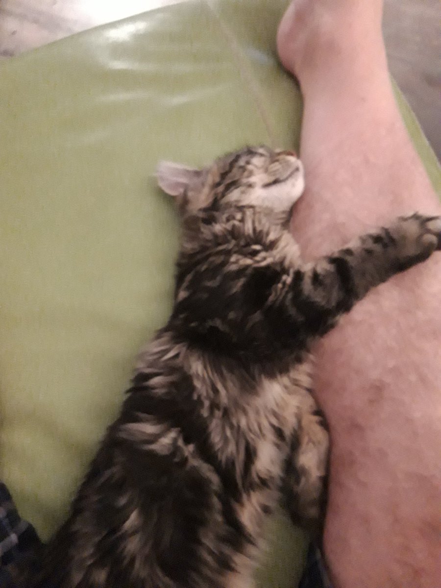 This is my leg,there are many legs like it, but this mine <a href="/rickygervais/">Ricky Gervais</a>