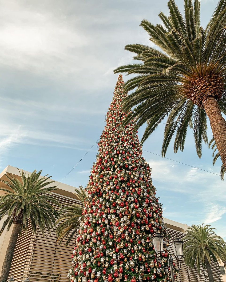 Beautiful weather for a sleigh ride together at #FashionIsland. #NewportBeach #ChristmasTree #HappyHolidays #OC #VisitCalifornia