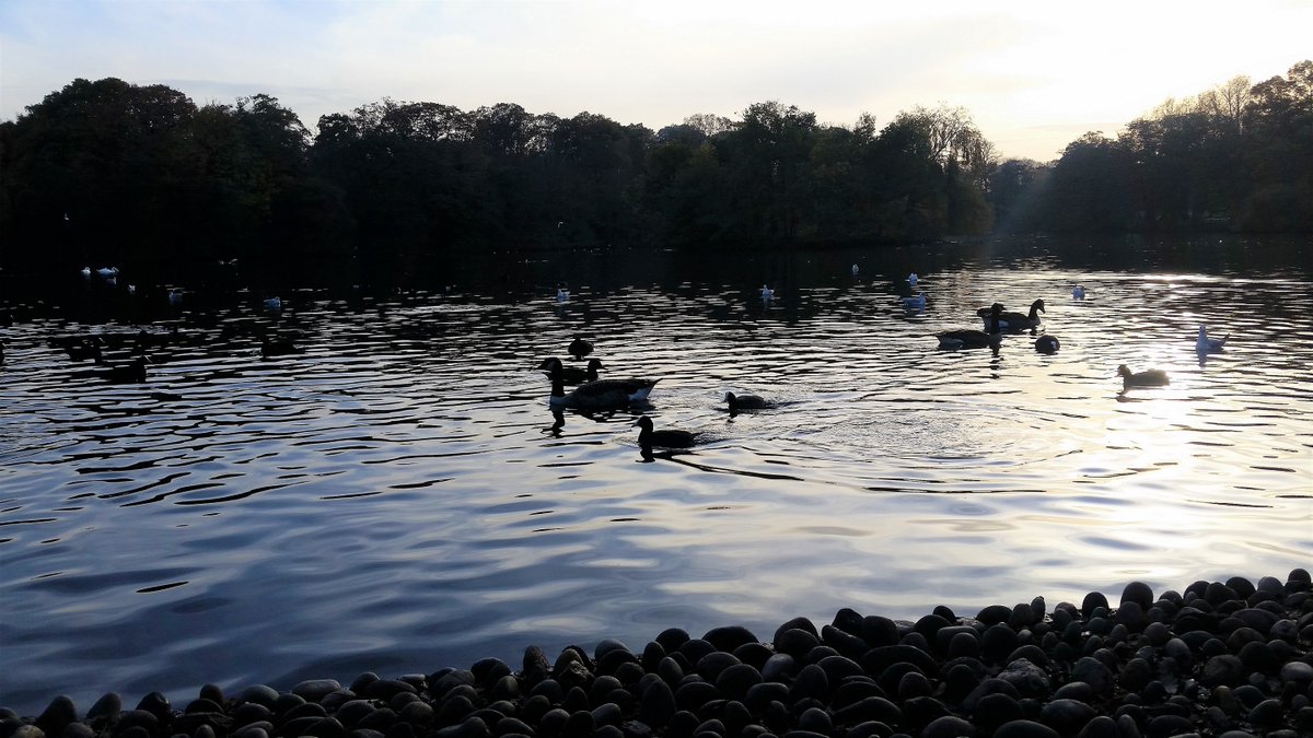 Yudit_BZ's tweet photo. ...Nature teaches more than she preaches. There are no sermons in #stones. It is easier to get a spark out of a stone than a moral... By John Burroughs #MyPhotos #Grovelands Park in #London #NatureLovers #BeautifulPlaces https://t.co/qyIpWc2Uri