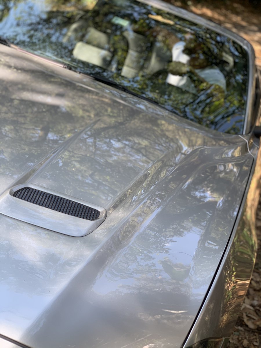 uriel del toro tweet media