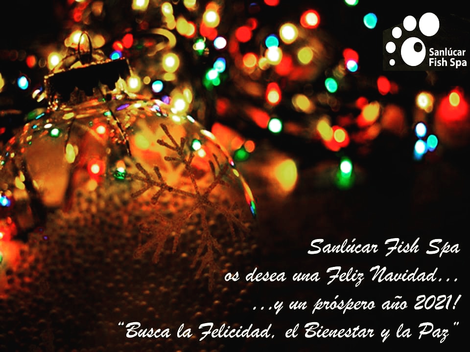 SanlucarFishSpa's tweet photo. Sanlúcar Fish Spa desea Feliz Navidad y próspero año 2021!

"Busca la Felicidad, el Bienestar y la Paz"

#Sanlúcarterapia...¿Comenzamos a Sentir?
https://t.co/3pS52BrKvu

https://t.co/YXKXRoKoOz
"Deja en nuestras manos tus sorpresas y regalos, cada día cuenta" #RegalaExperiencias https://t.co/tV71karsD9