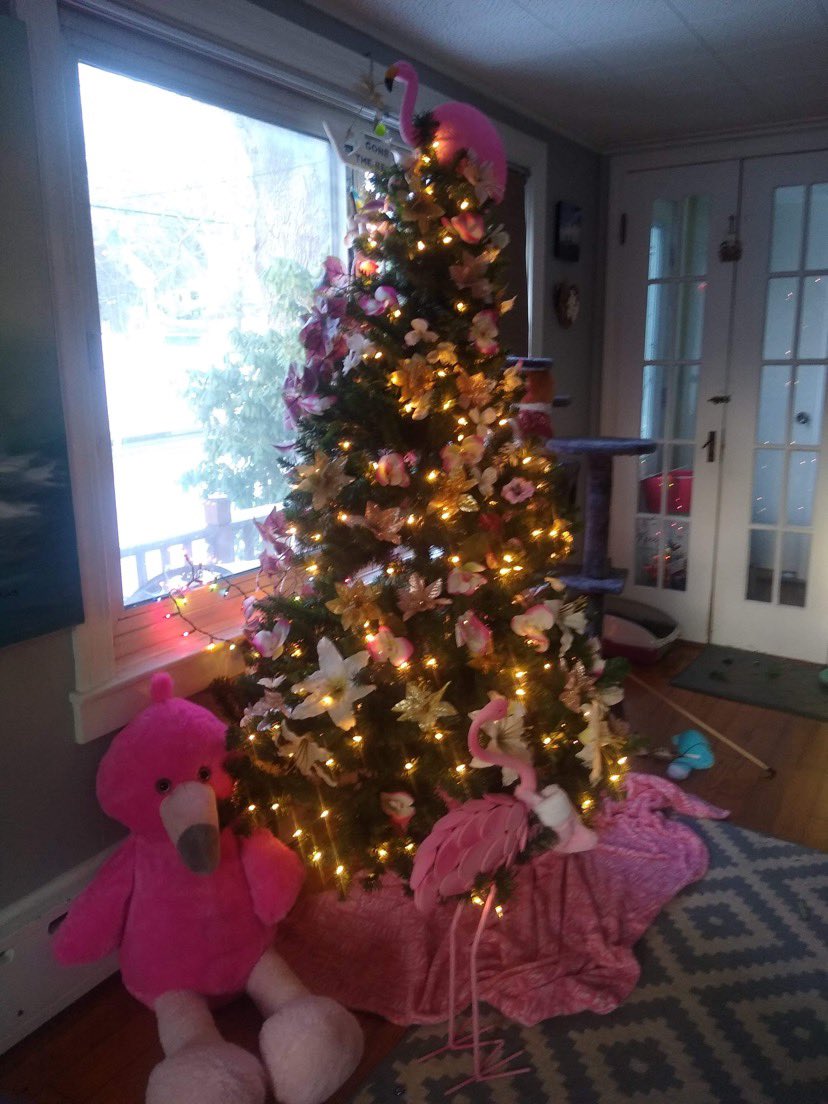 SJGolisano's tweet photo. Just wanted to show off my moms Christmas tree https://t.co/LPELq2zyop