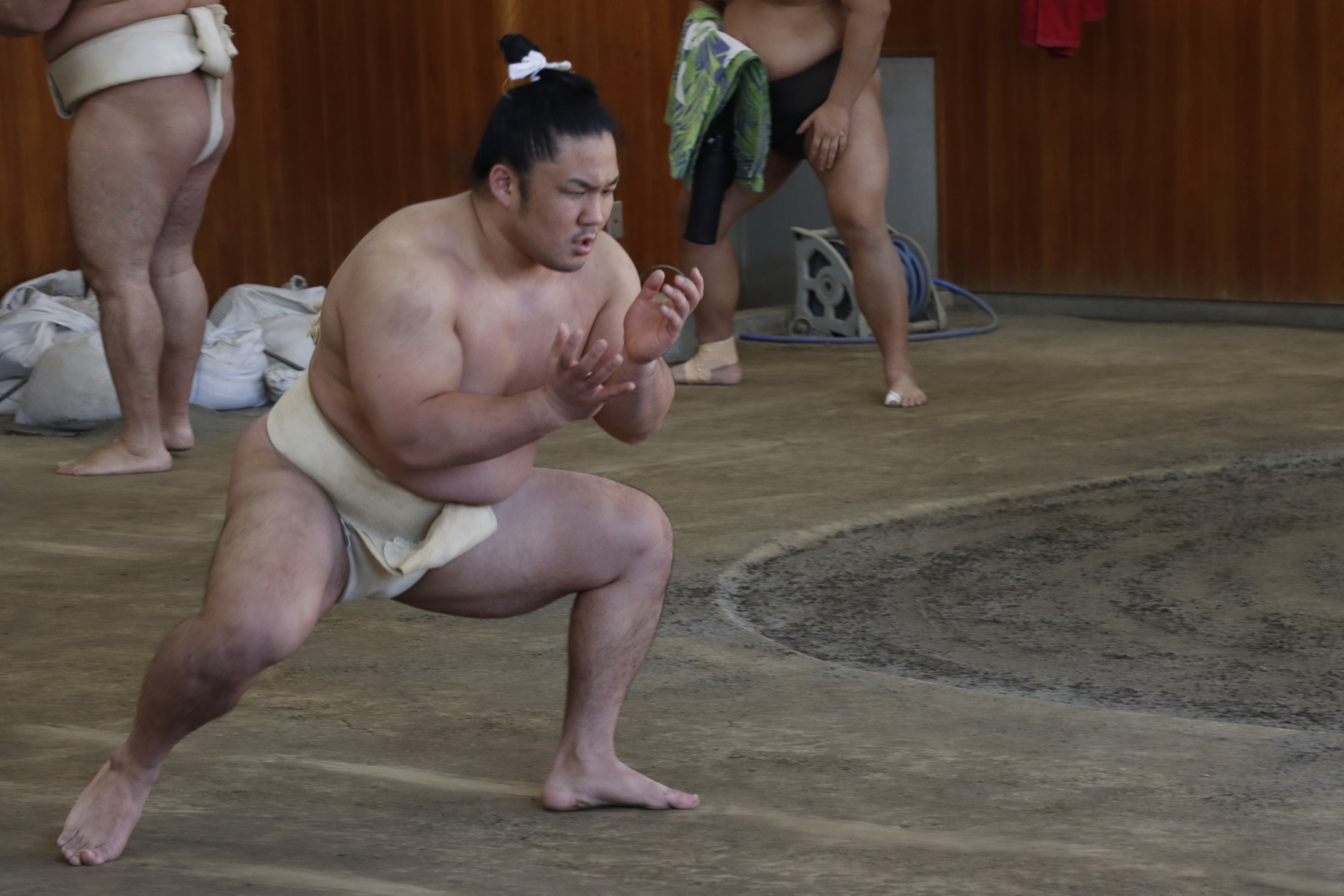 日本相撲協会公式 on X: 