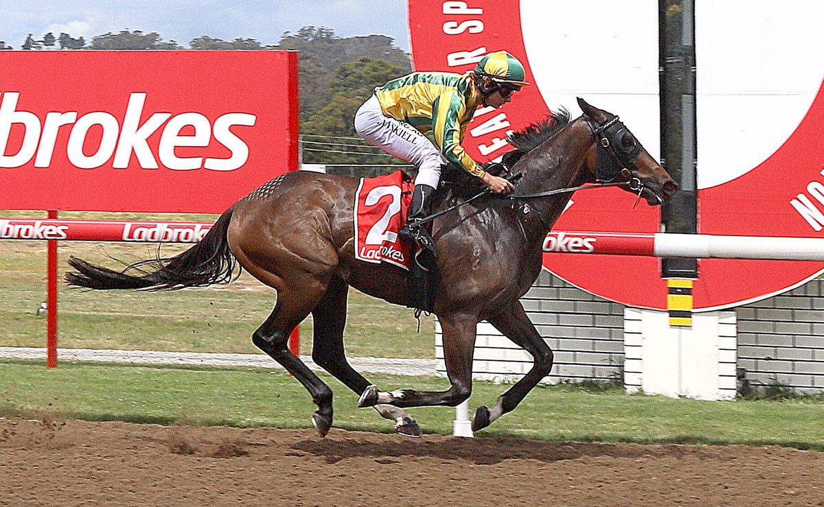 MotreeTasmania's tweet photo. Artuso goes end to end with @kylemaskiell aboard on #godscarpet making it a double for @MotreeTasmania #tassietough #barriertobox 📸Tasracephotos https://t.co/RqLUBMp22N