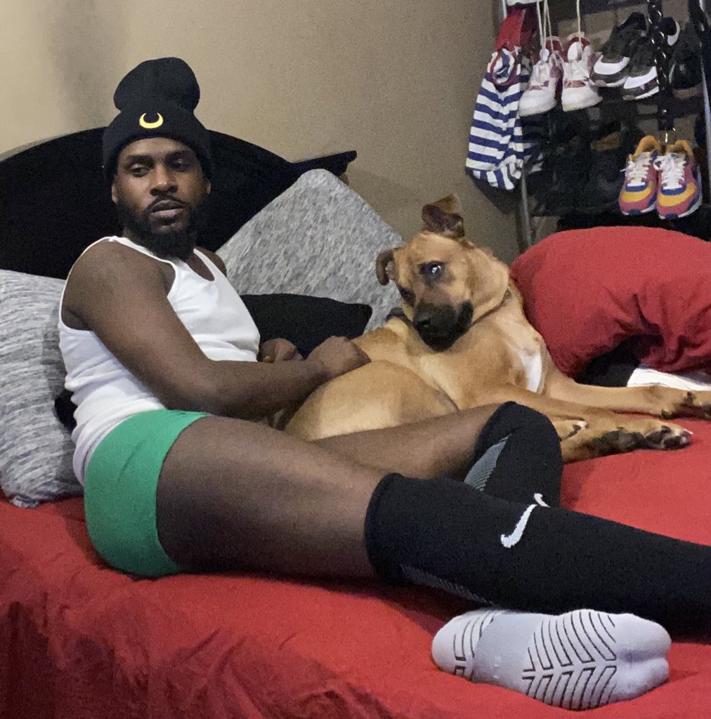 dapooch84's tweet image. 