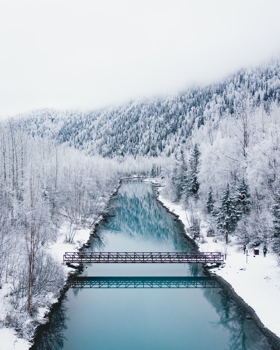 viewswithellen's tweet photo. feeling frosty ❄️ https://t.co/jXOHyk4ezz