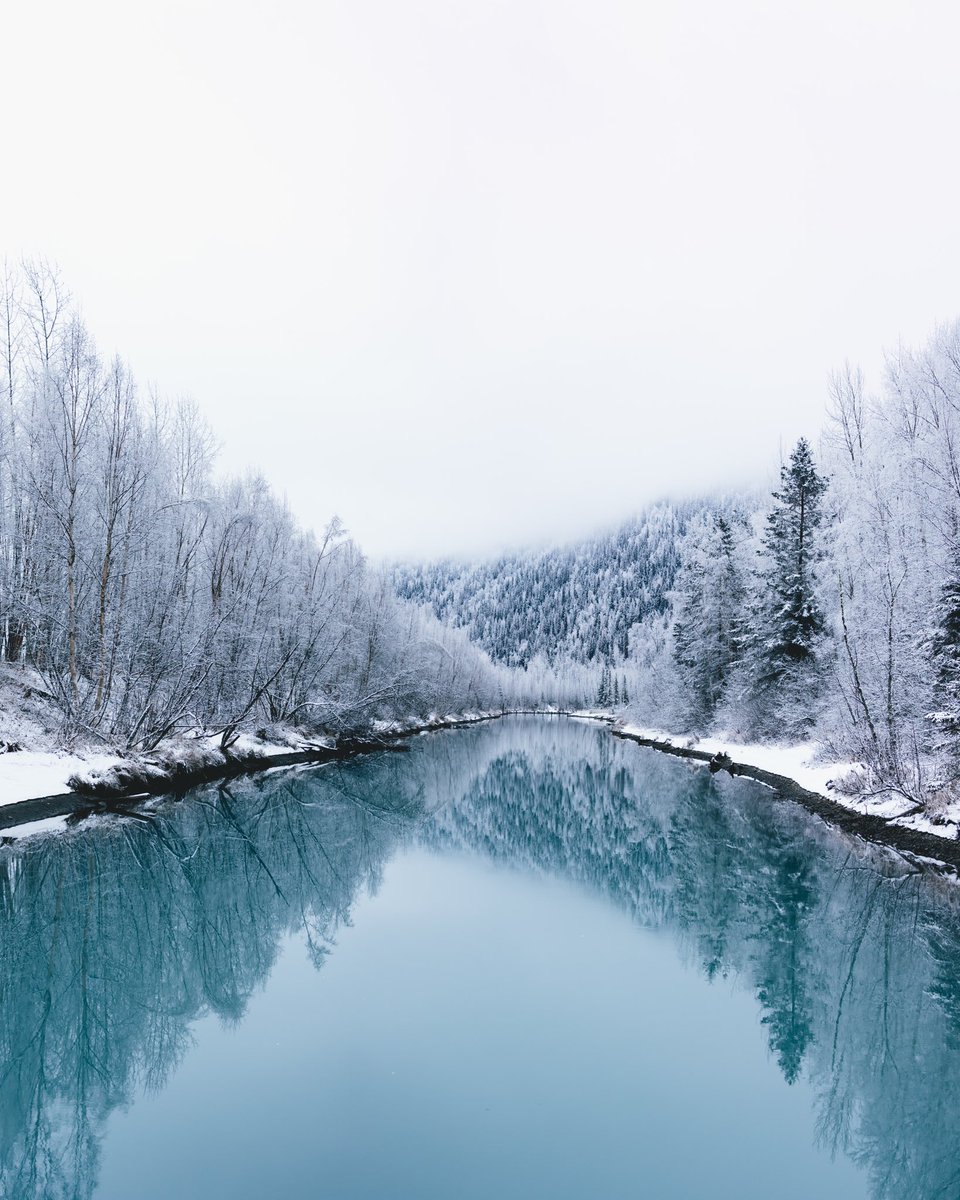 viewswithellen's tweet photo. feeling frosty ❄️ https://t.co/jXOHyk4ezz