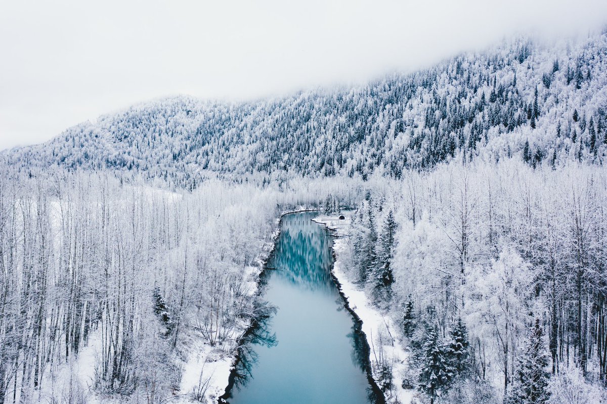 viewswithellen's tweet photo. feeling frosty ❄️ https://t.co/jXOHyk4ezz