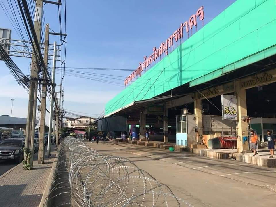 ต้นกล้า ประชาธิปไตย(การเมืองเท่านั้น) tweet media