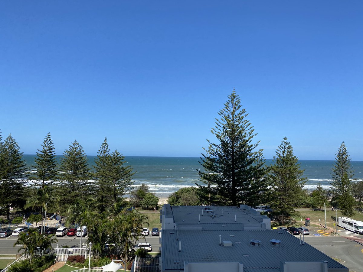 Peter Ward tweet media