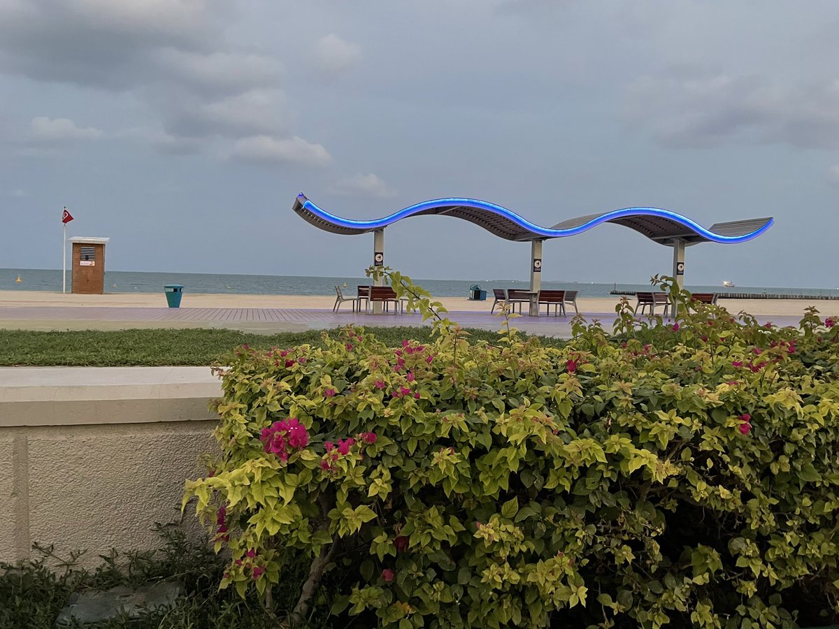 MrAndiPrice's tweet photo. Day20 little dip &amp; the 100km passed! #Advent5km #AdventSweat #CollabUAE 🇦🇪 

#Adidas #Garmin #FBiL #TriDubai #Cervelo #Oakley #Tacx #Goodyear #Apple #ChallengeRoth #2XU #Stryd #Strava #Zwift 🏊‍♂️ 🚲 🏃‍♂️ 

@MrSteveKavanagh @runandrant @NathanSadler5 @L_Farquhar_IB @MrsBroomeTeach https://t.co/KR7SFesb4J