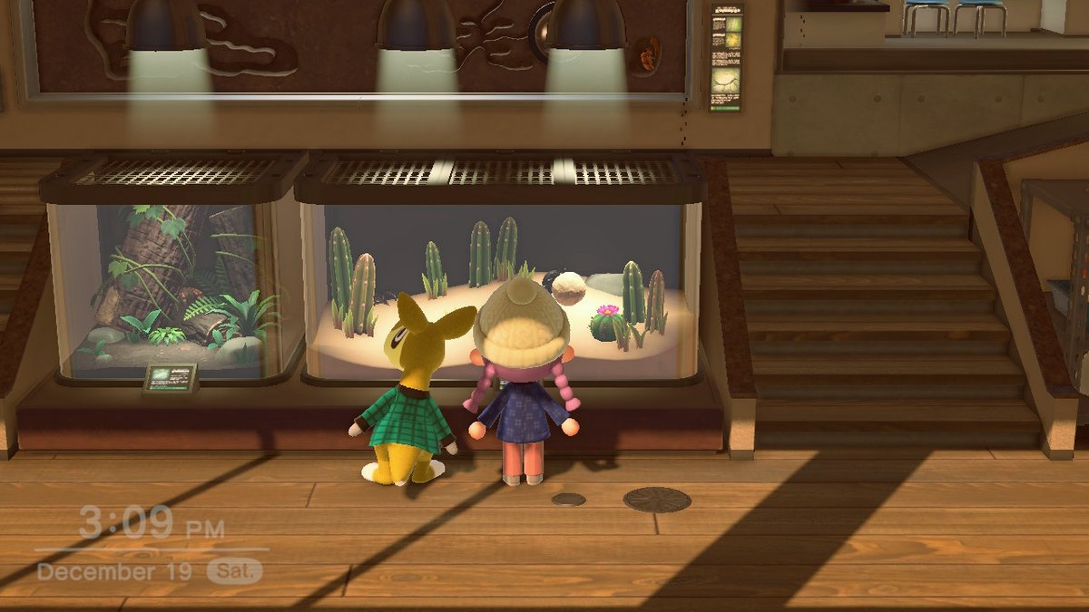 gardnersnake's tweet photo. #AnimalCrossing #ACNH https://t.co/jtQcu0Fm35