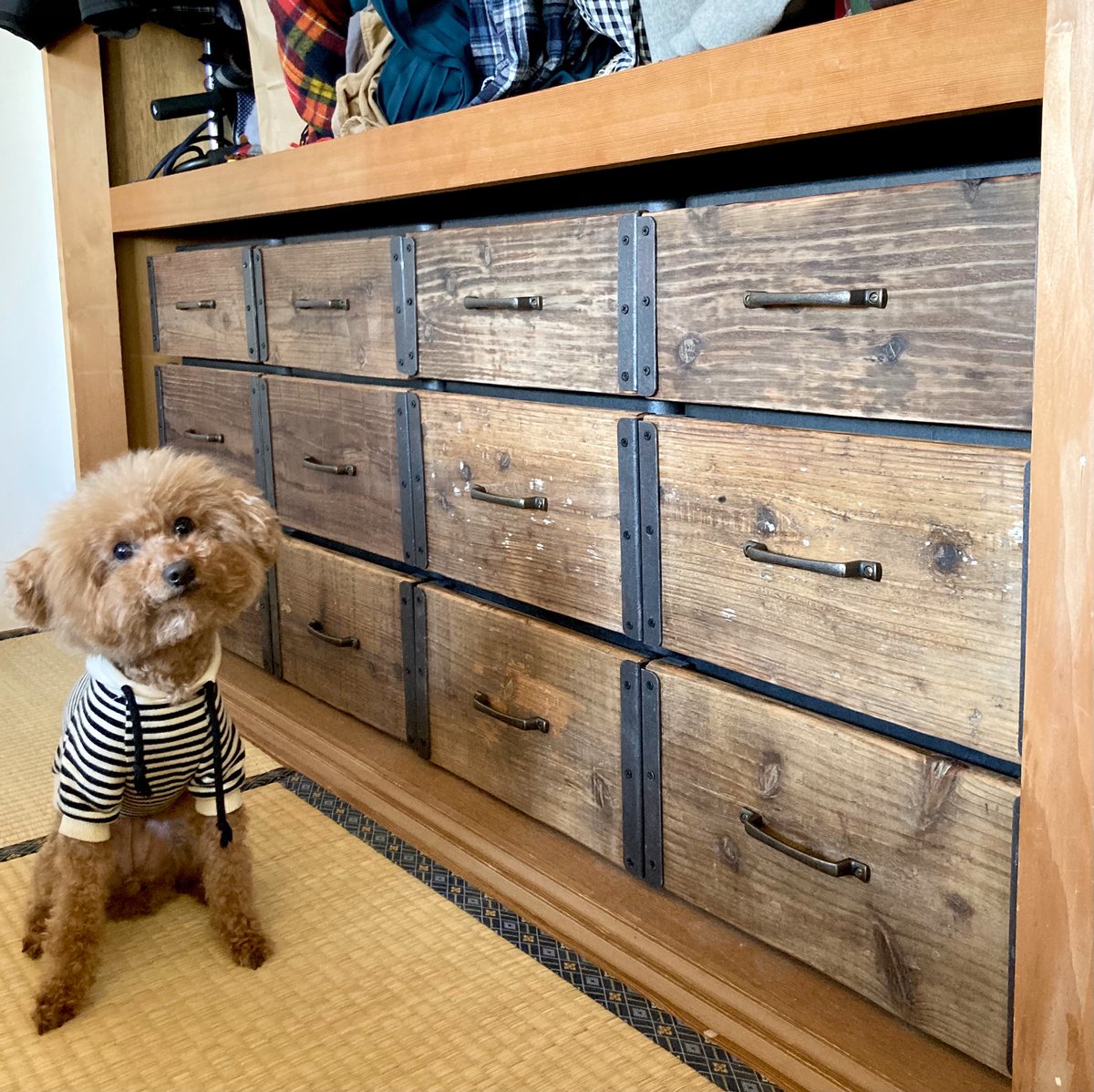 衣装ケース Anazhthsh Twitter