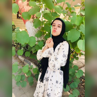 omnia_elsadany's tweet photo. 🦆 #NewProfilePic https://t.co/cI86vYOY0W