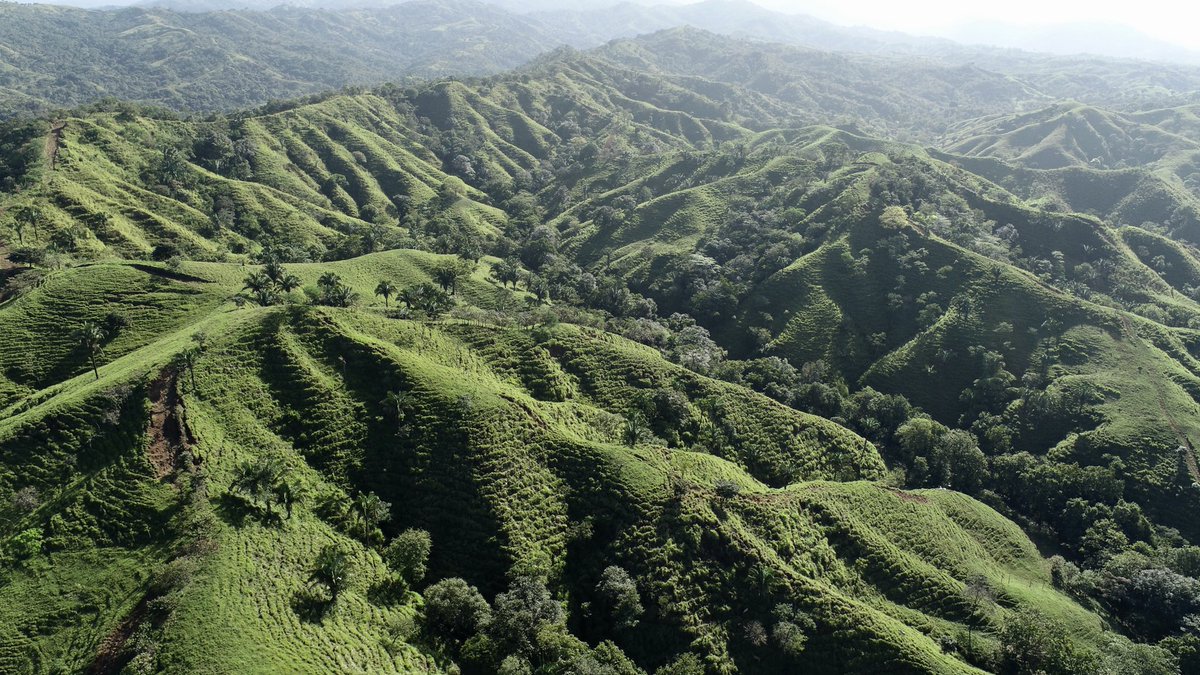 Montañas de Mariato, Veraguas