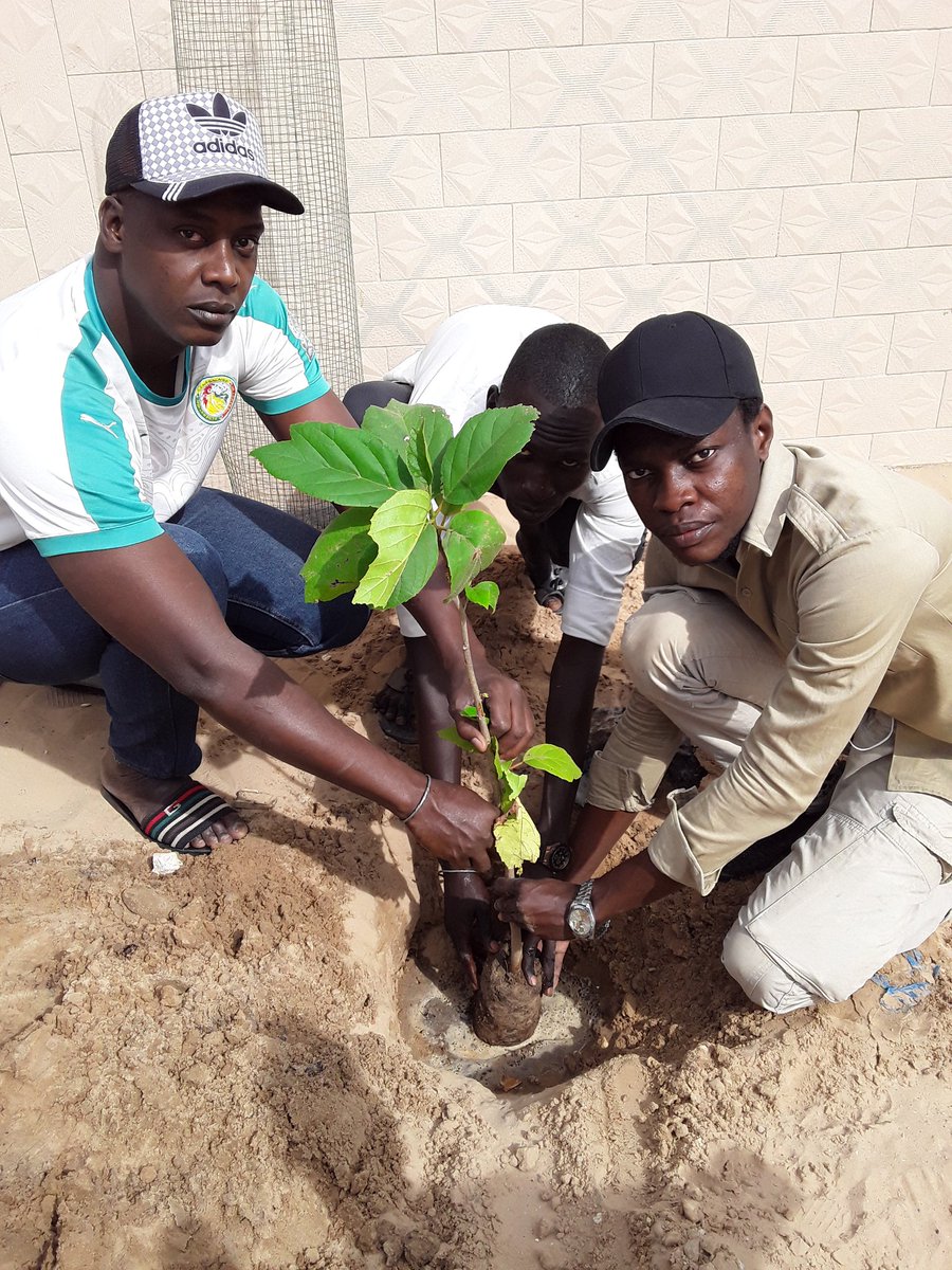 ABG_49's tweet photo. 2/3 #OPERATION_THIAROYE_VERT🍀
B-More than 70 houses have benefited from 1 or 2 shaded plants🌳 in front of their concessions.
Our congratulations to #RAJIT🍀as well as all the people who took part in these environmental days
#Kebetu #SDGs
@SenOxy9 ♻️ #climateaction
@ABG_49 🌱 https://t.co/dr2PzArQef