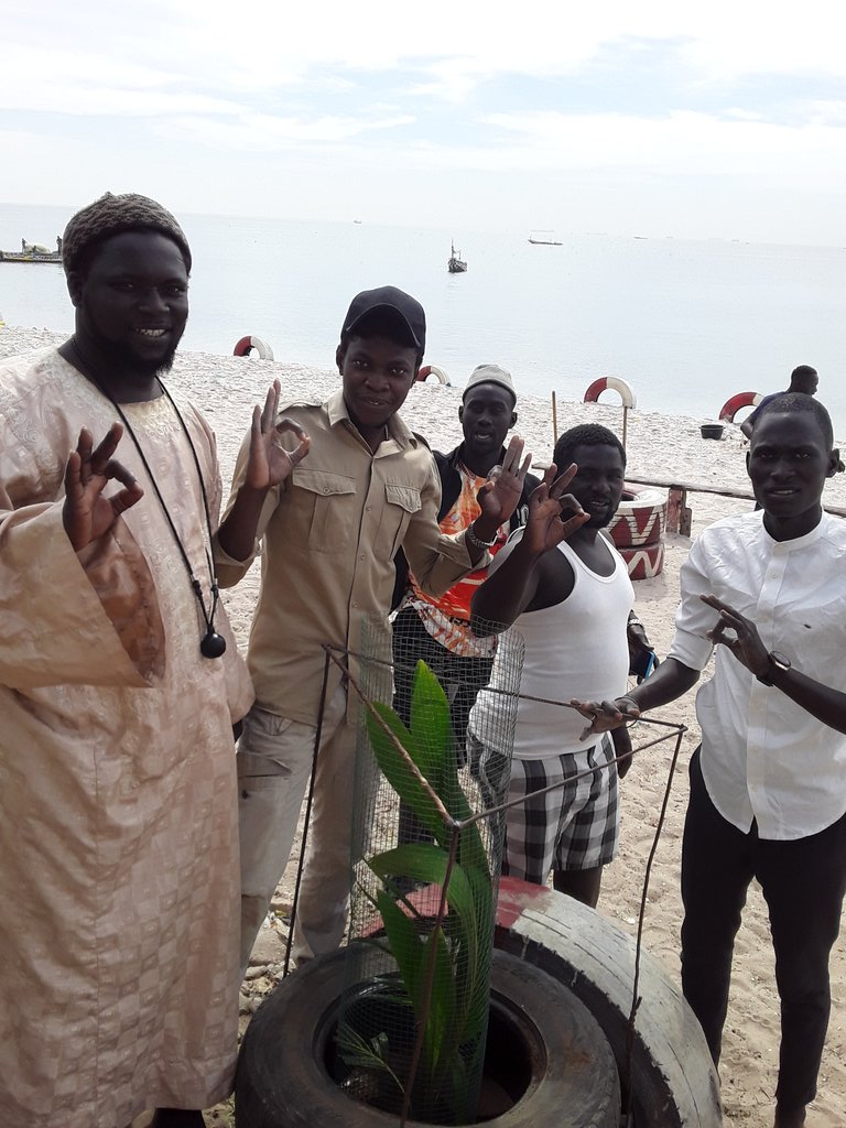 ABG_49's tweet photo. 2/3 #OPERATION_THIAROYE_VERT🍀
B-More than 70 houses have benefited from 1 or 2 shaded plants🌳 in front of their concessions.
Our congratulations to #RAJIT🍀as well as all the people who took part in these environmental days
#Kebetu #SDGs
@SenOxy9 ♻️ #climateaction
@ABG_49 🌱 https://t.co/dr2PzArQef