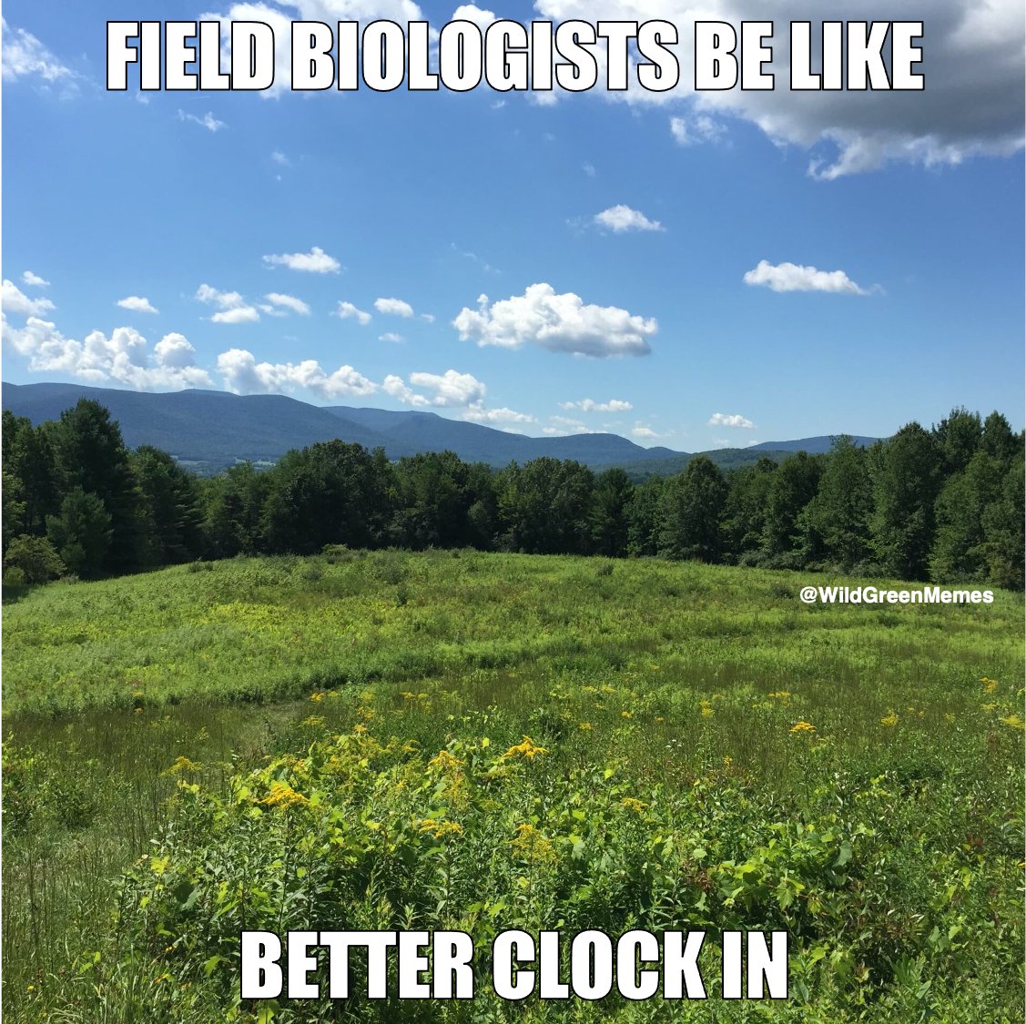 Wild Green Memes for Ecological Fiends (@wildgreenmemes) on Twitter photo 