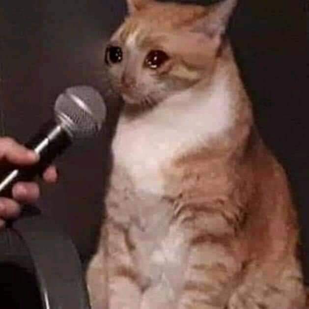 flipyeon's tweet image. X: ¿Y qué significa Dreamcatcher en tu vida?
Yo: