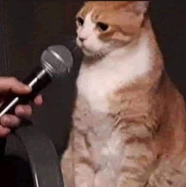 flipyeon's tweet image. X: ¿Y qué significa Dreamcatcher en tu vida?
Yo: