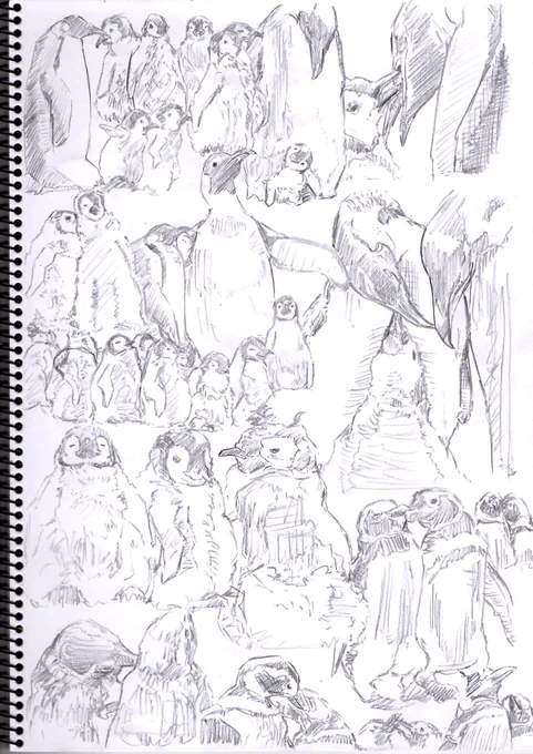朝イチdrawing 