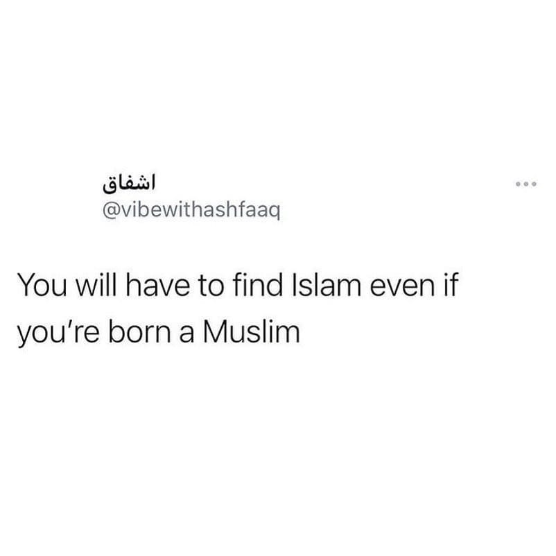 Subhanallah ❤️💯

Please Like 👍🏻 
Follow 👤 (@halalestmemes) 
Comment 👇🏻
Share 📲

#Beingmuslim #afghanmemes #hijabimemes #halalfunny #muslimhumor #muslimjokes #muslimmemes #muslimfun #muslimbanter #muslimfunny #funnymuslim #haramhumour #muslimbanter #asianmemes #harammemes #de…
