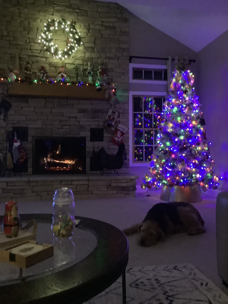MasonAiredale's tweet photo. Resting after playing in the snow today https://t.co/Nj67dGoJu2