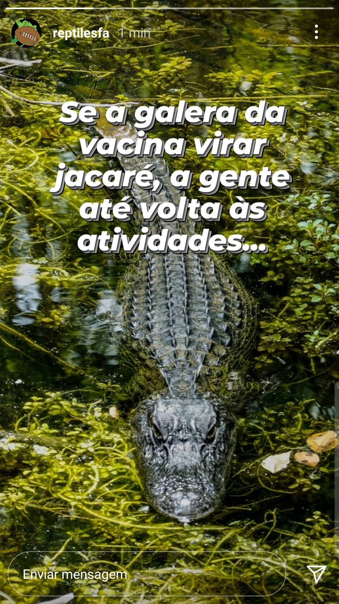 botafogoreps's tweet photo. Todo mundo que virar jacaré será bem vindo! https://t.co/W8sseoXLXo
