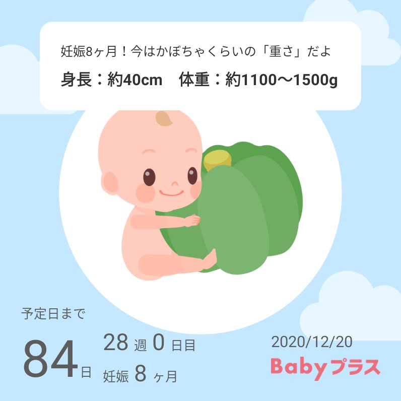妊娠２８週