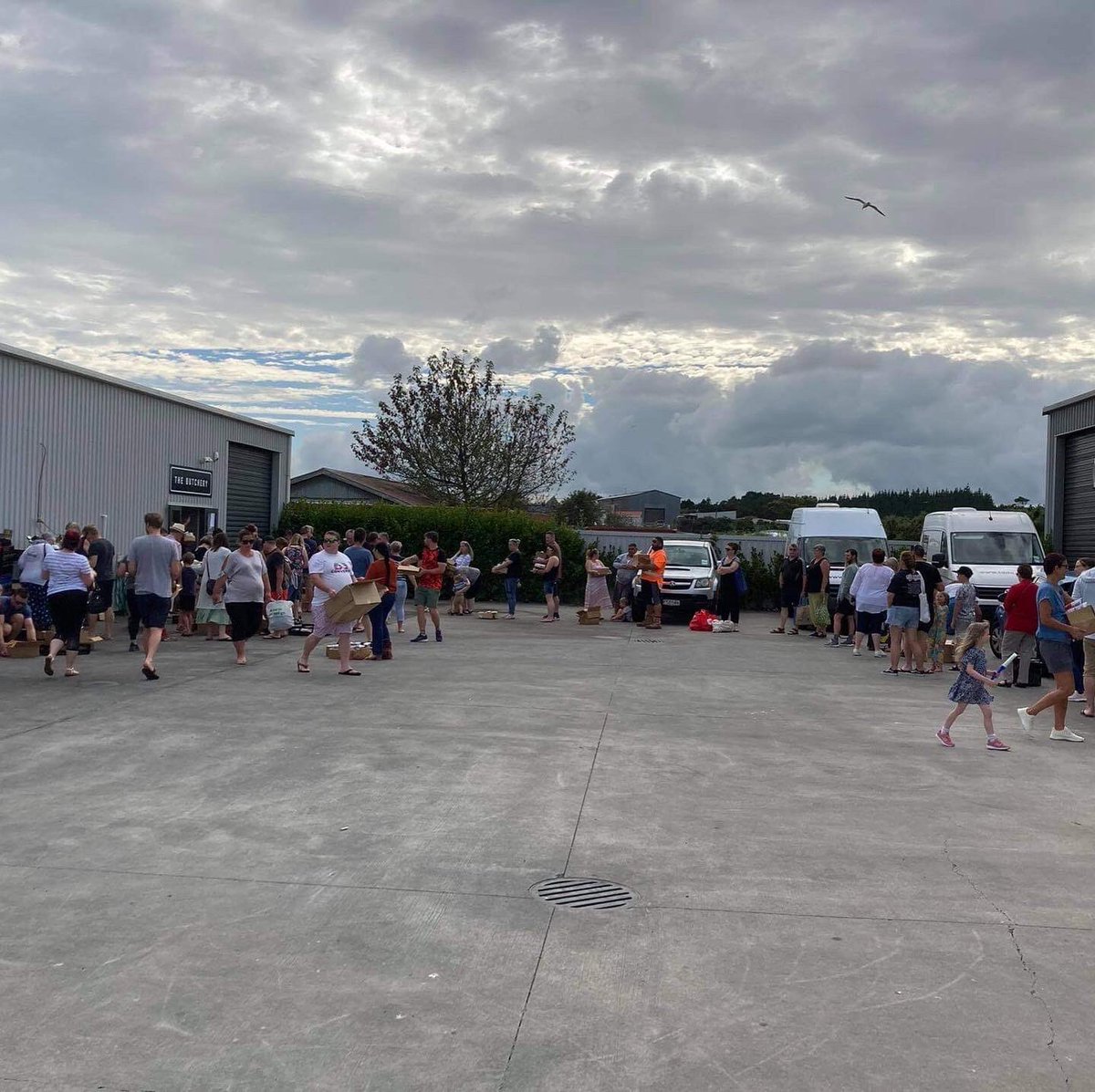 Green Meadows Beef🐃 tweet media