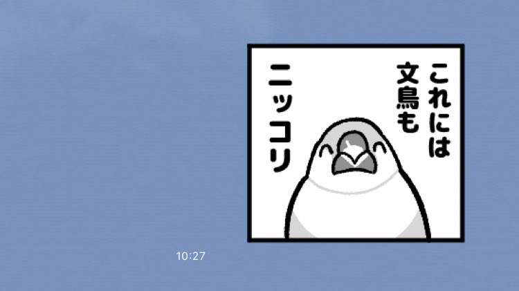 これには文鳥もニッコリ 