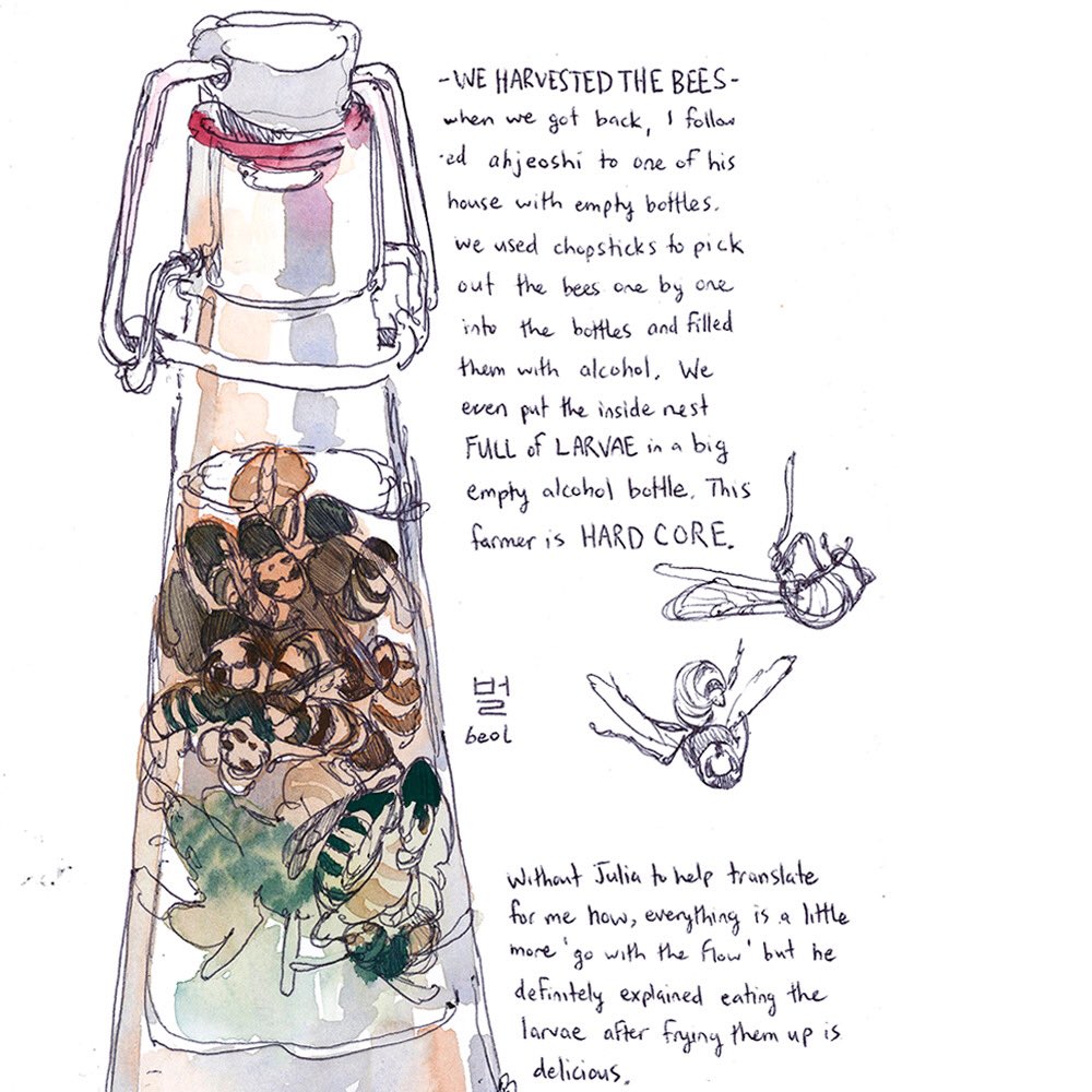I'm cleaning up my website so I was adding art and I found some of my favorite food illustrations from my first travel journal.