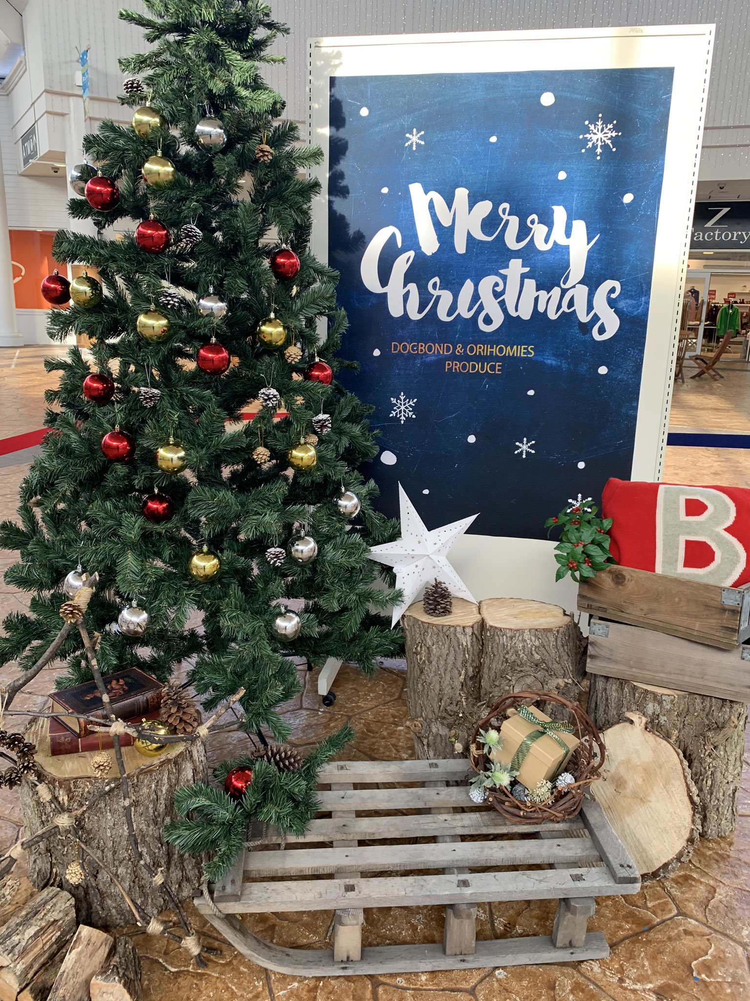 千歳アウトレットモール レラ クリスマスプレゼントキャンペーン実施中 レラドームのブースで写真を撮って 千歳アウトレットモールレラ とタグ付けしてsnsにアップするとレラからクリスマスプレゼントがもらえます クリスマス レラ 千歳