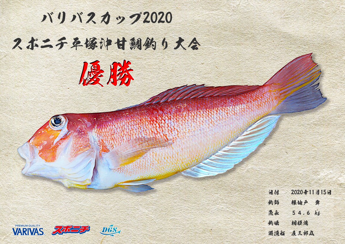 デジタル魚拓dgs 協賛させていただいているスポニチさんのバリバス甘鯛釣り大会の優勝者への魚拓です 下のヒレが畳まれてたので 合成して再現させました デジタル魚拓 甘鯛 アマダイ スポニチ バリバス 相模湾 庄三郎丸