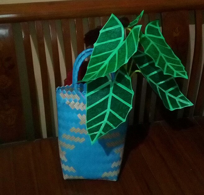 suratmidede's tweet photo. #Hari2
#CaladiumAmazoniaPlant https://t.co/UVI6eBGrgW